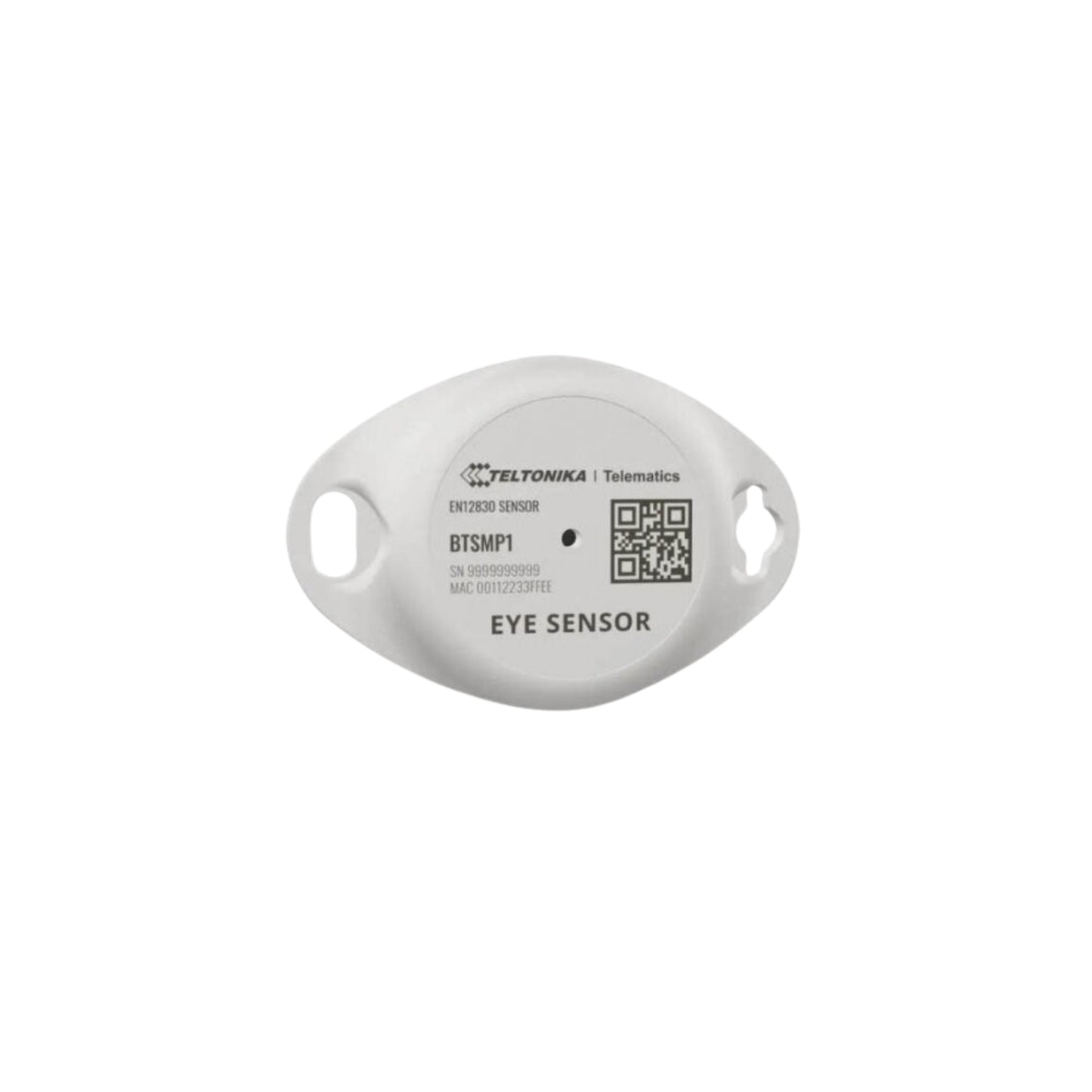 Temperatursensor – Bluetooth-Überwachungssystem (12830)
